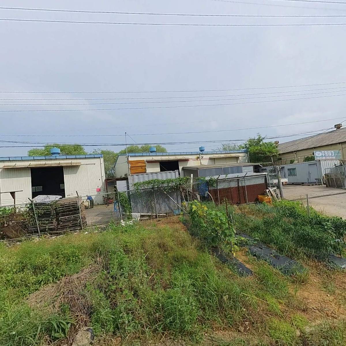 (주)임란트레이더스