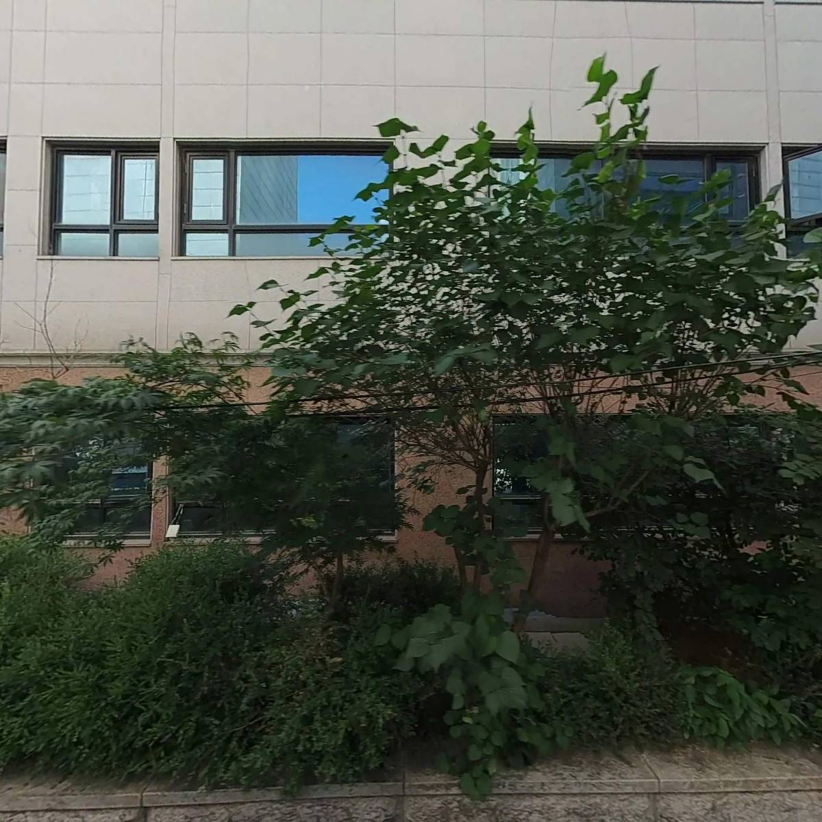 카지노