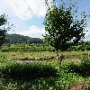 주식회사희팍(HuiparkInc.)_3