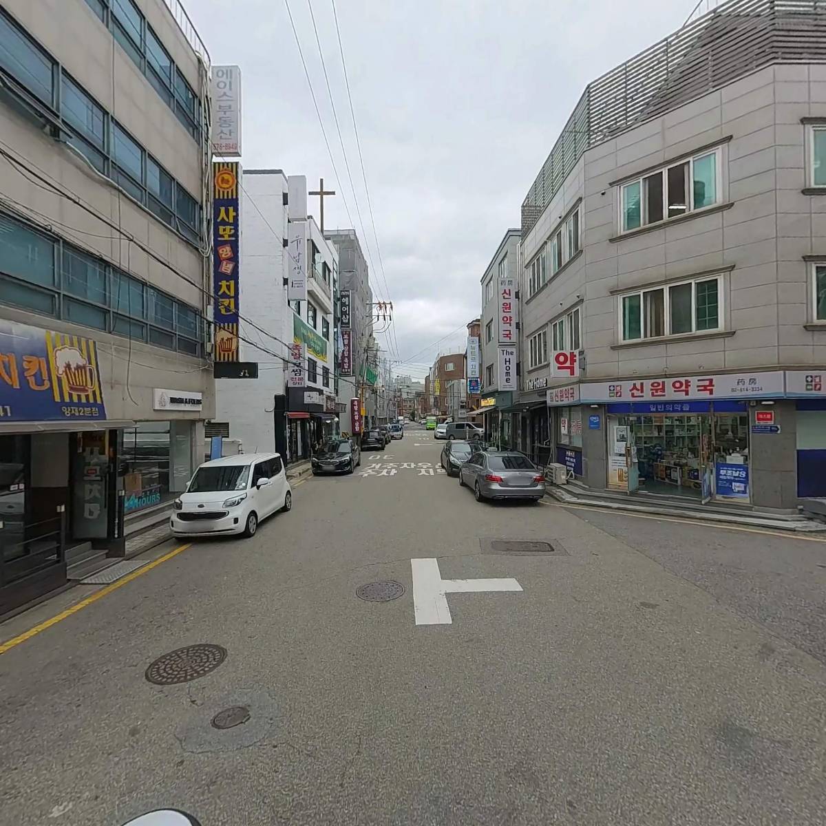 싱싱오징어_2