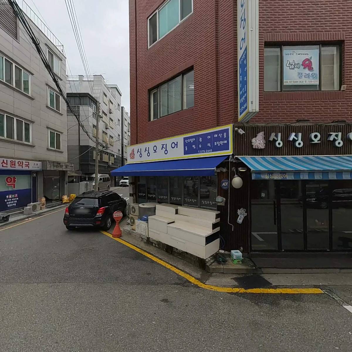 싱싱오징어_3