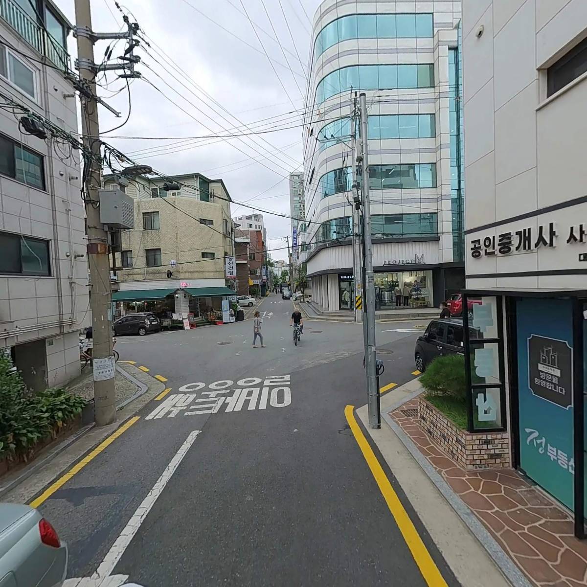 배가펙스_2