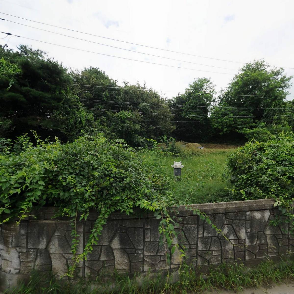 대신정밀（주）