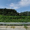 길명2리 마을회_3