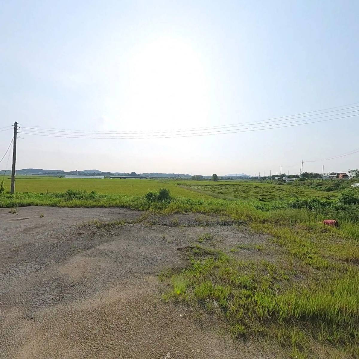 (주)파오스