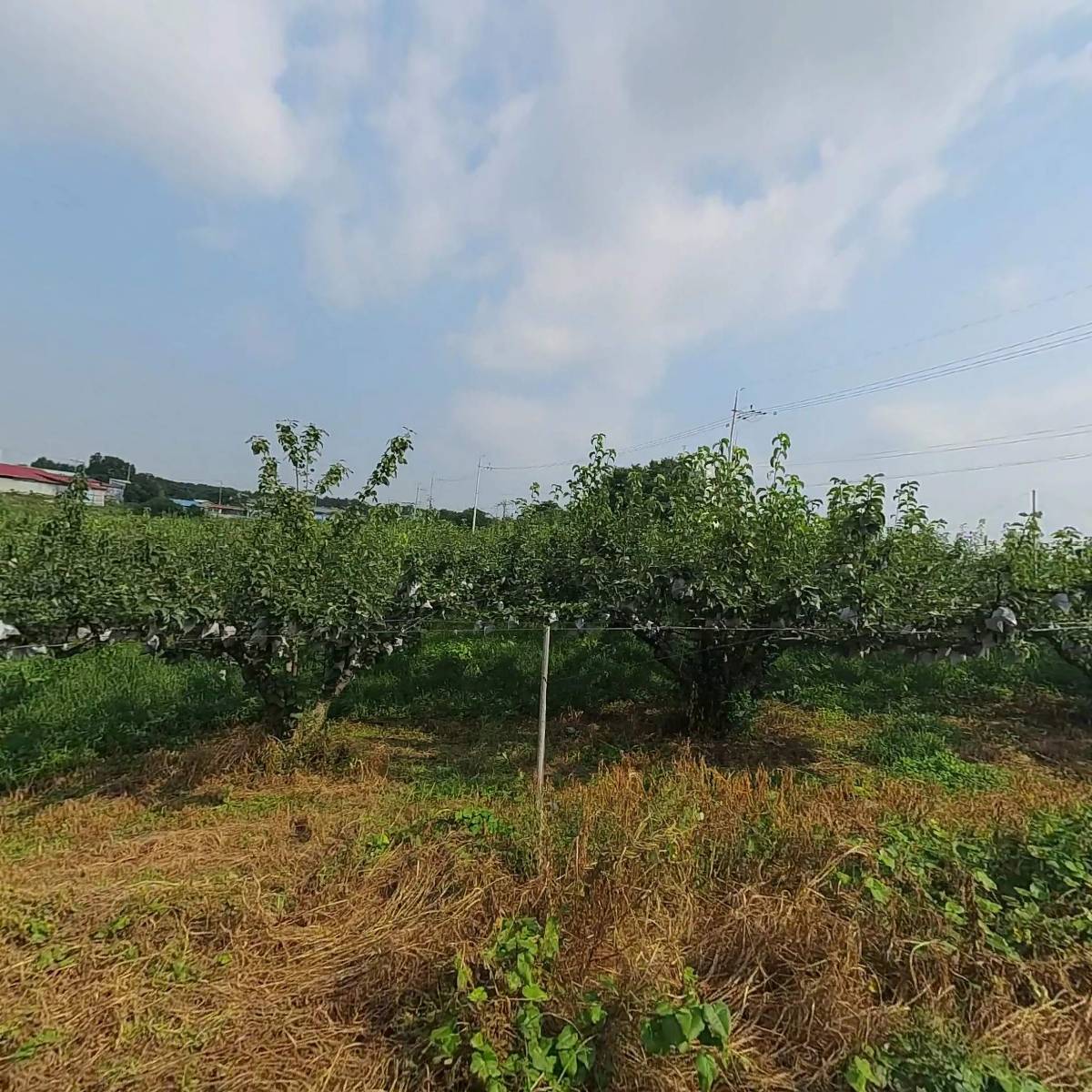 (주)이수에코테크