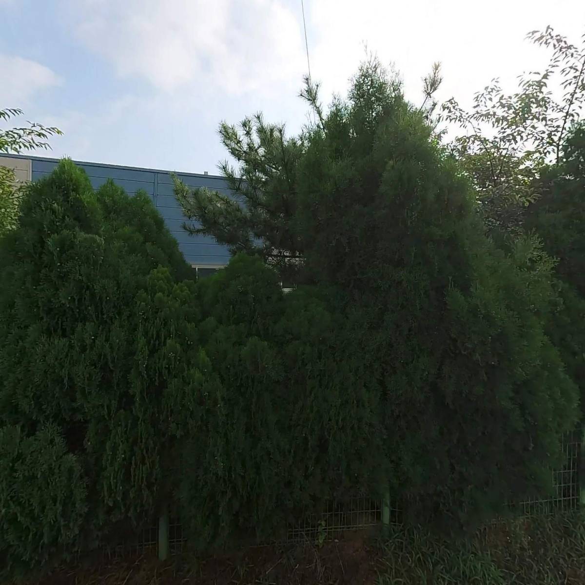 인텍