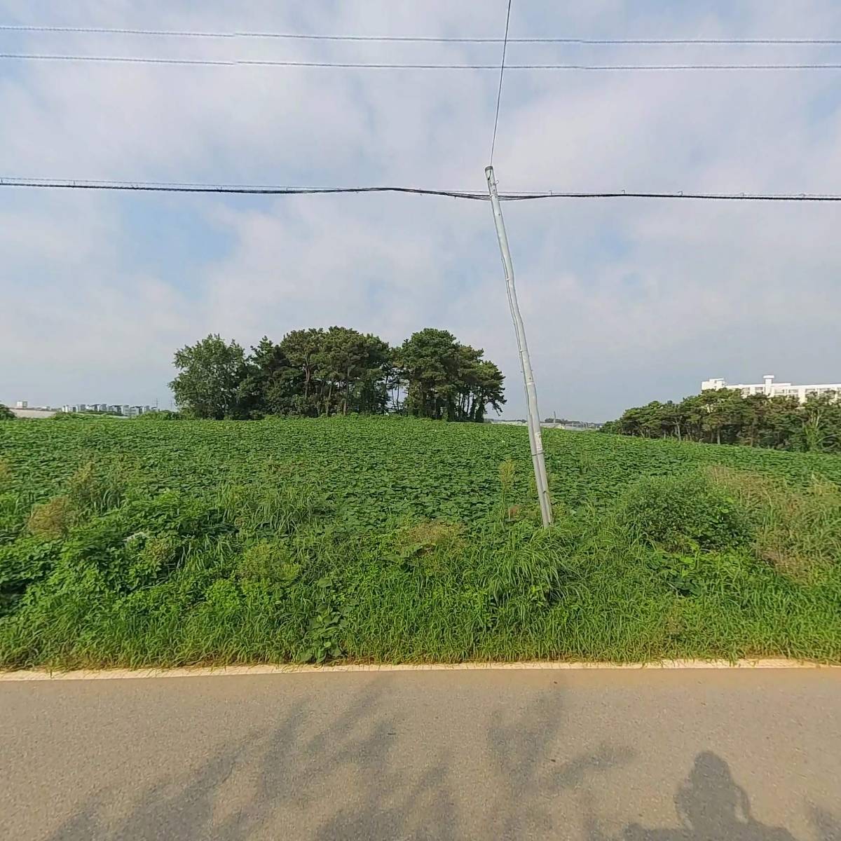 인텍_3