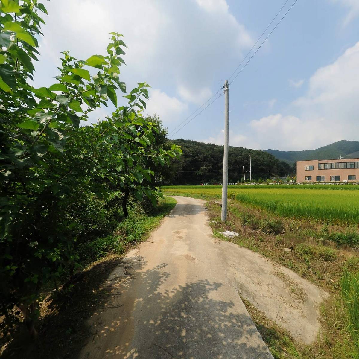 드림라이너_2
