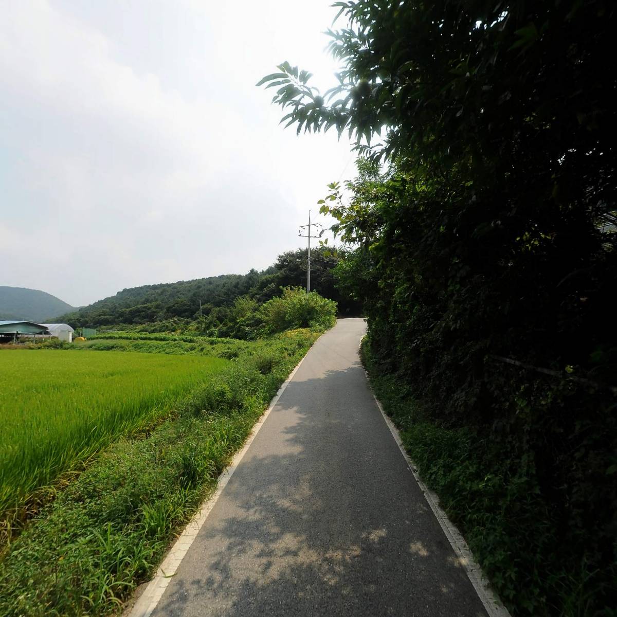 덕인 코코피트_2