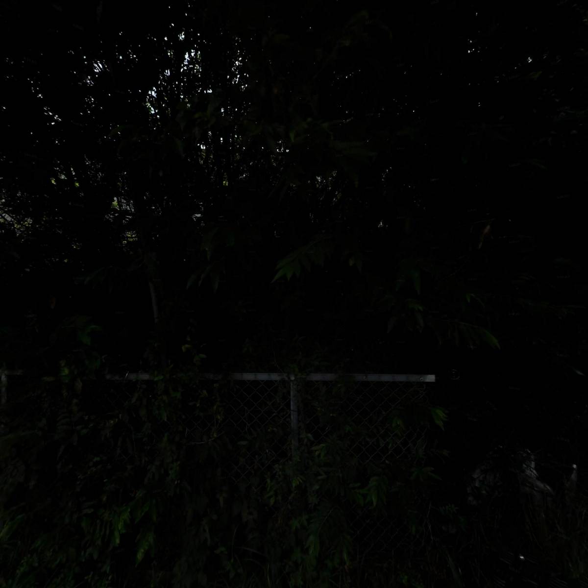 덕인 코코피트_3