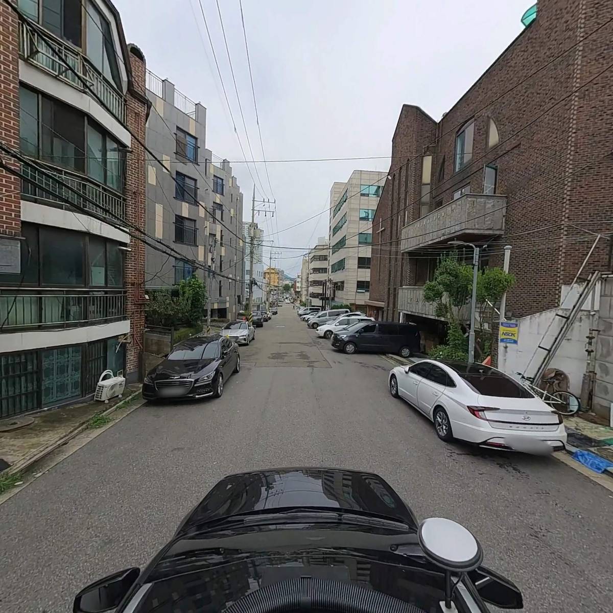 개나리부두_4