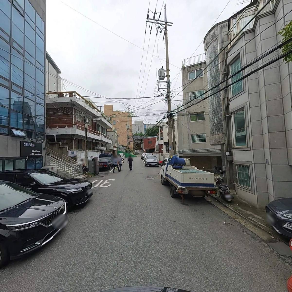 개나리부두_2