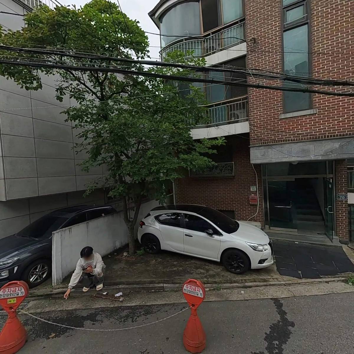 개나리부두_3