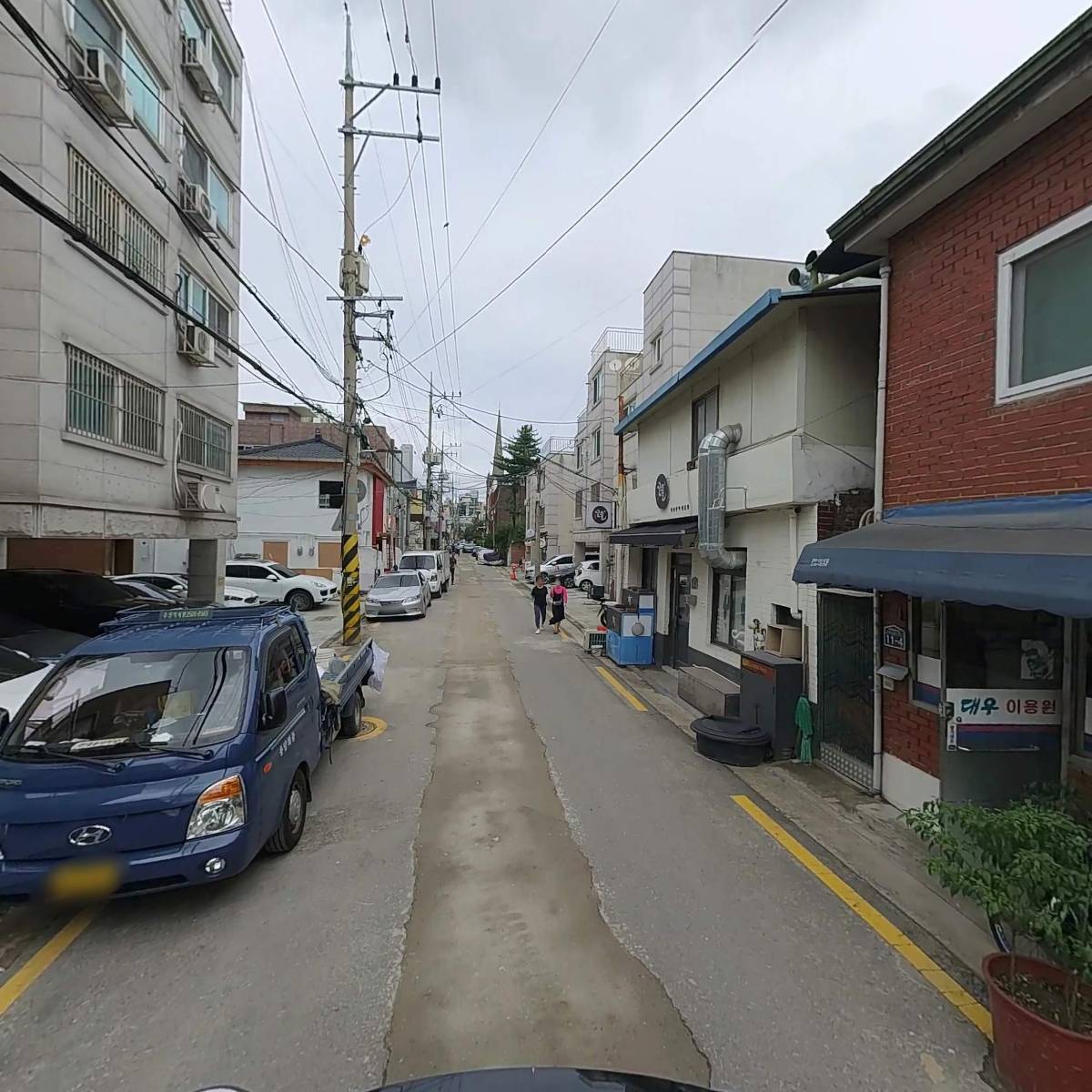 초원_2