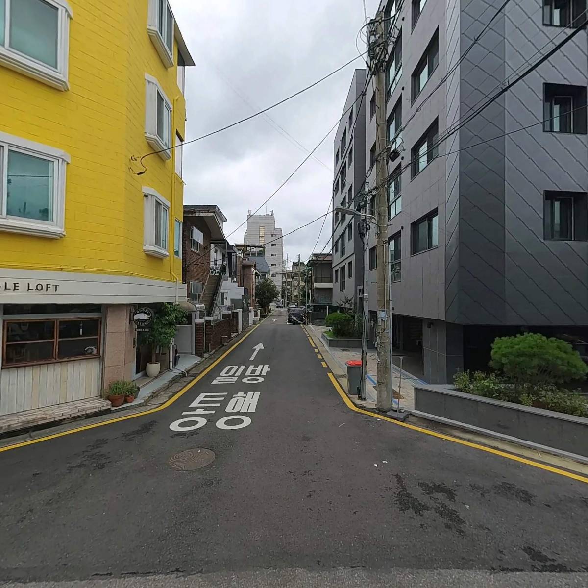 정성메디칼