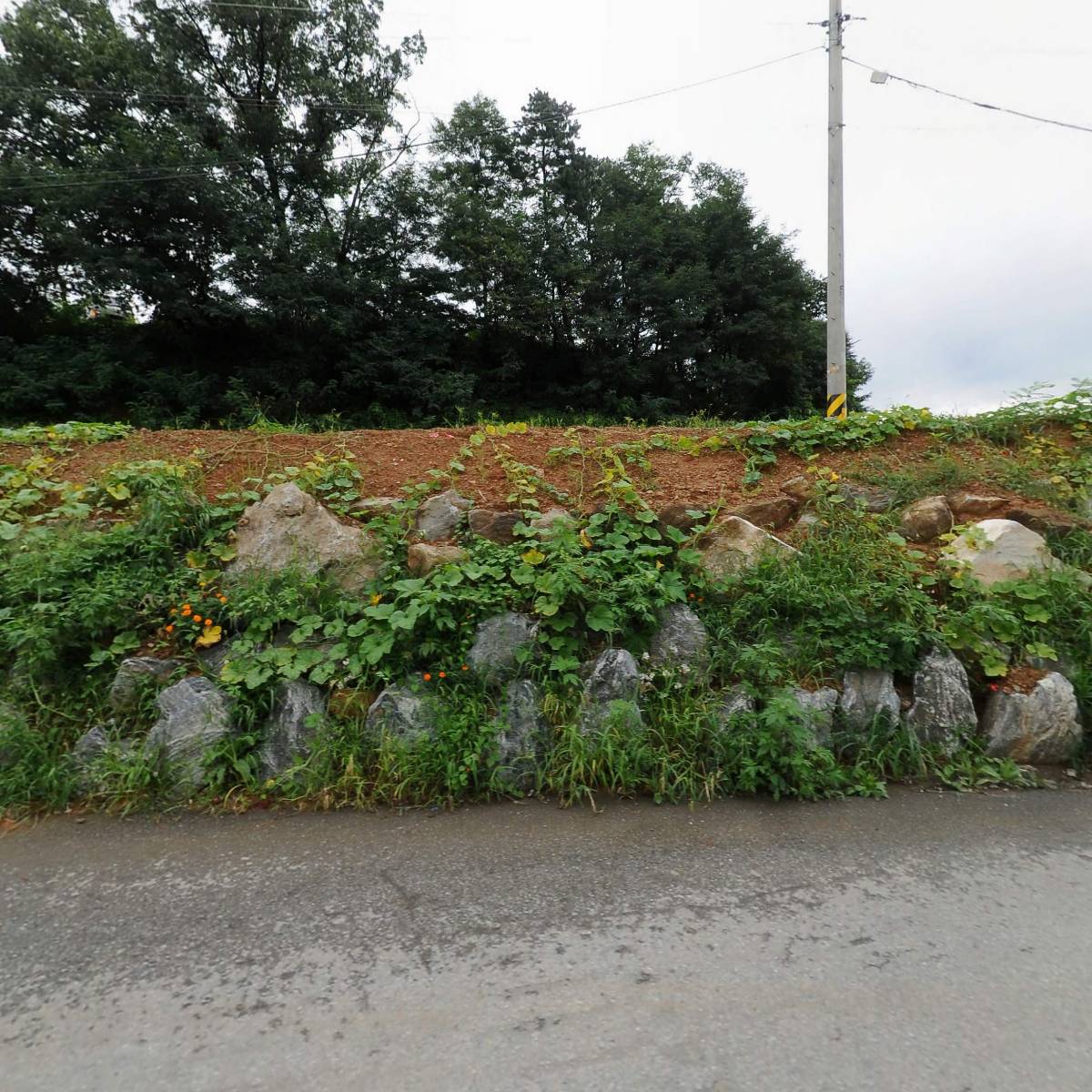 한국지게차