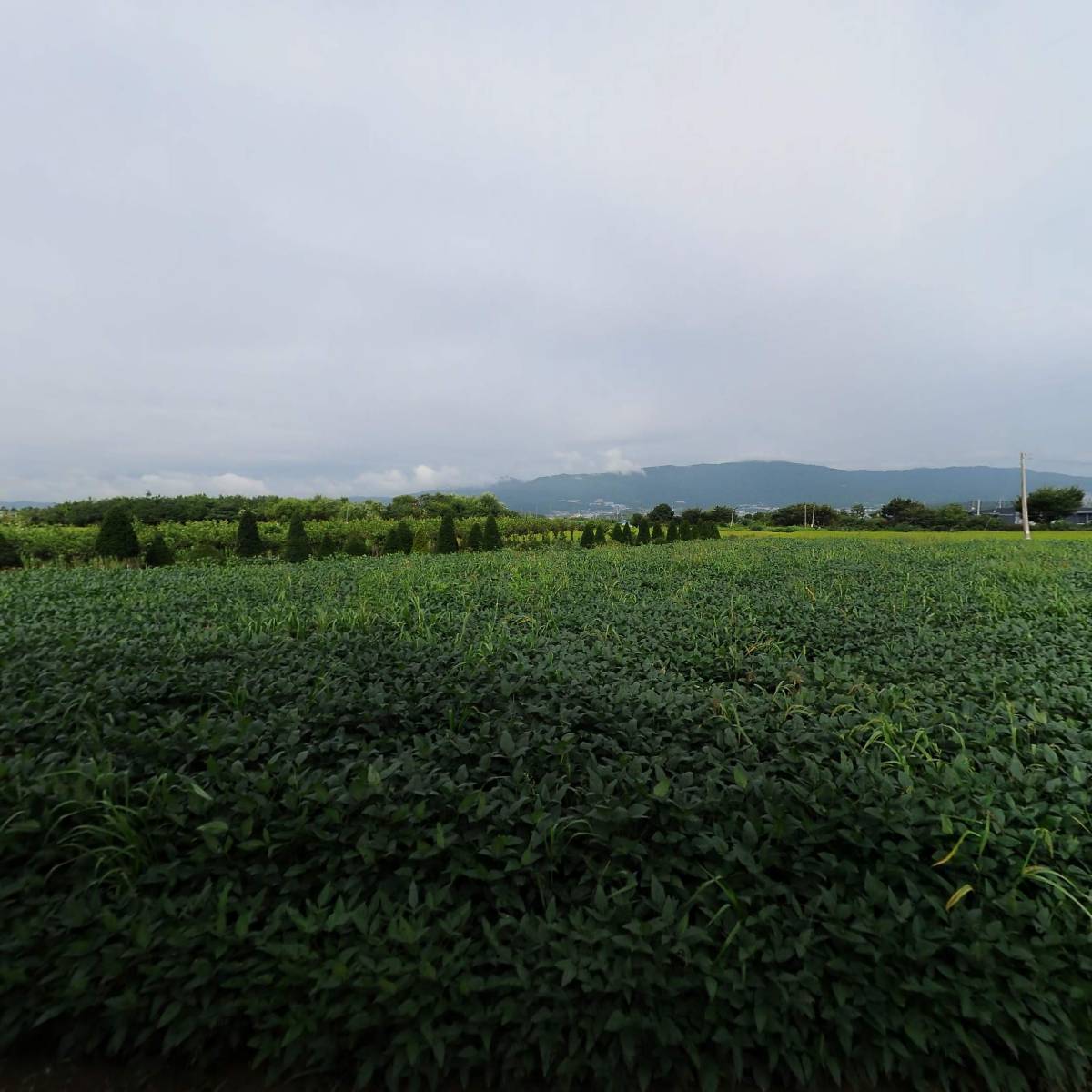 주식회사 솜씨방가구