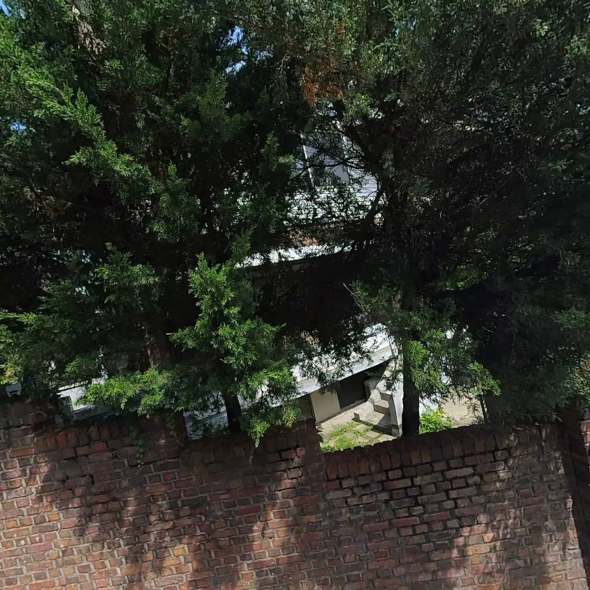 씨아이에스_3
