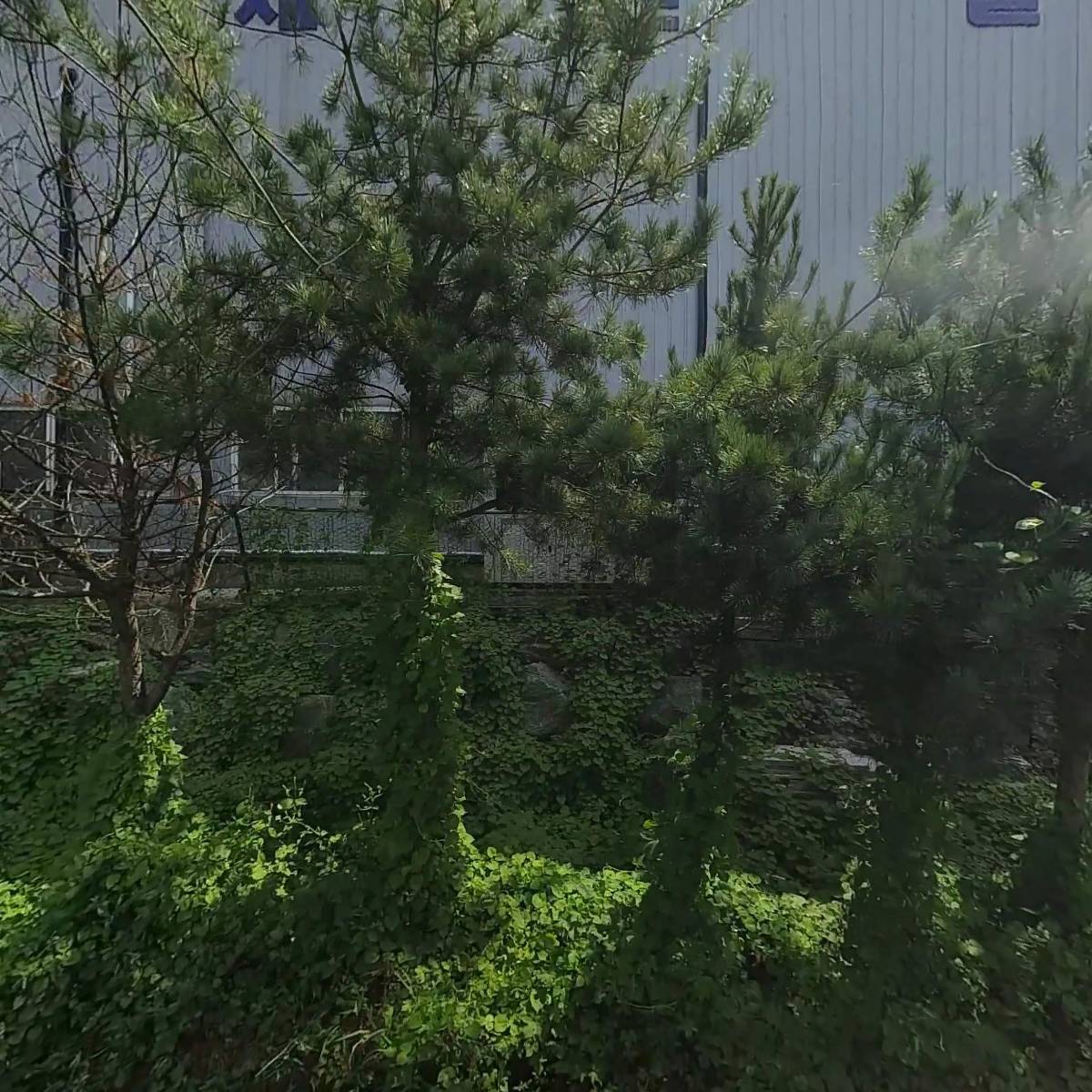 세진글로벌