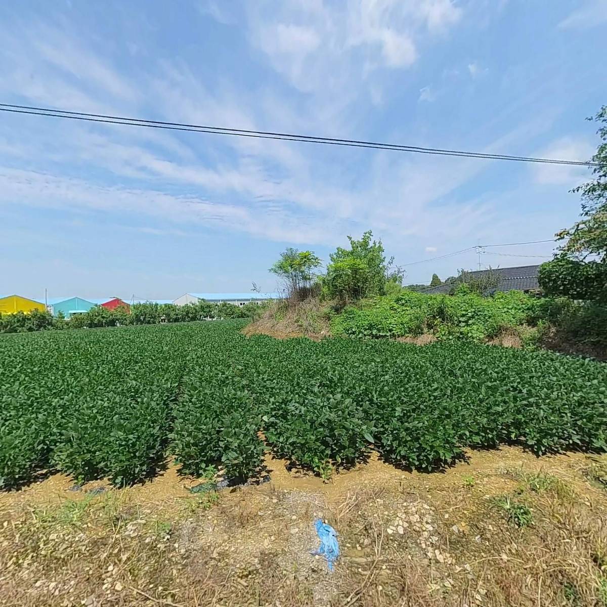 우리산업물류