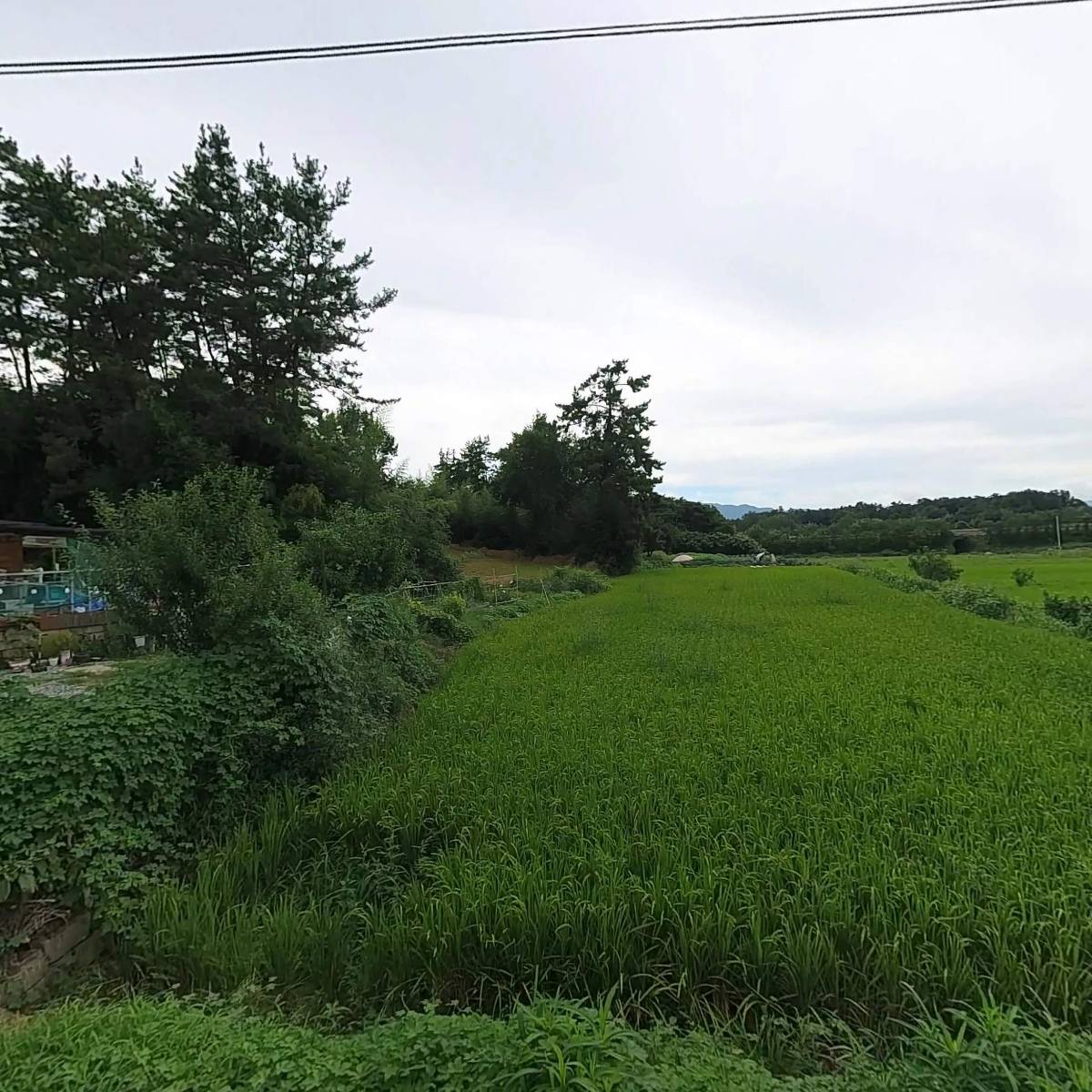 대로클래스 (주)