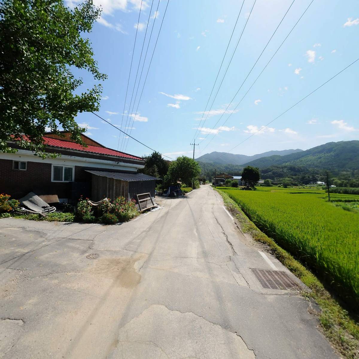 농업회사법인 울미연꽃마을 (주)_2