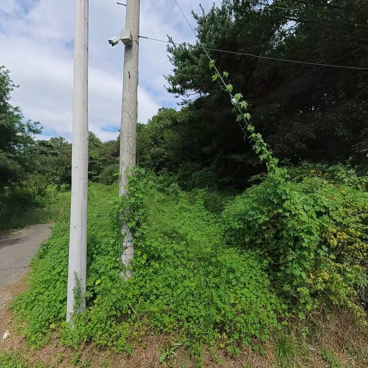 주식회사 남태연 농업회사법인