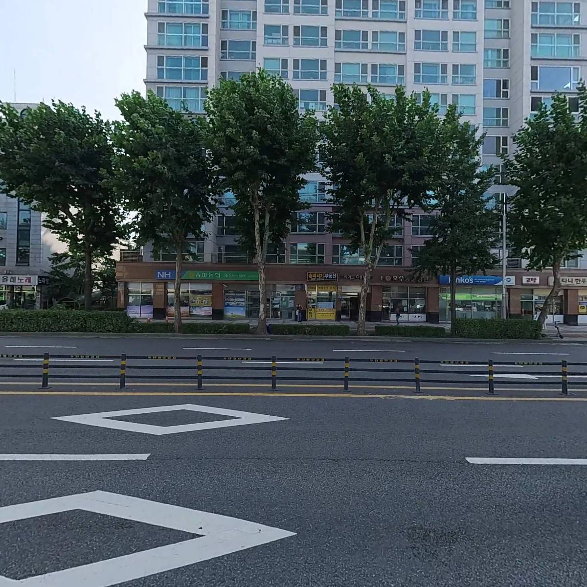 골드참치_3