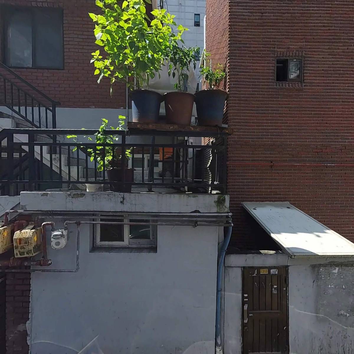 명동안과