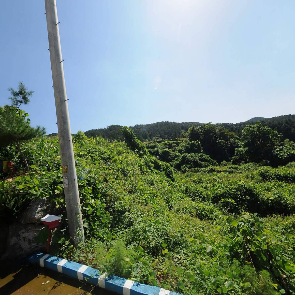 스카이블루엘(SKY블루엘)