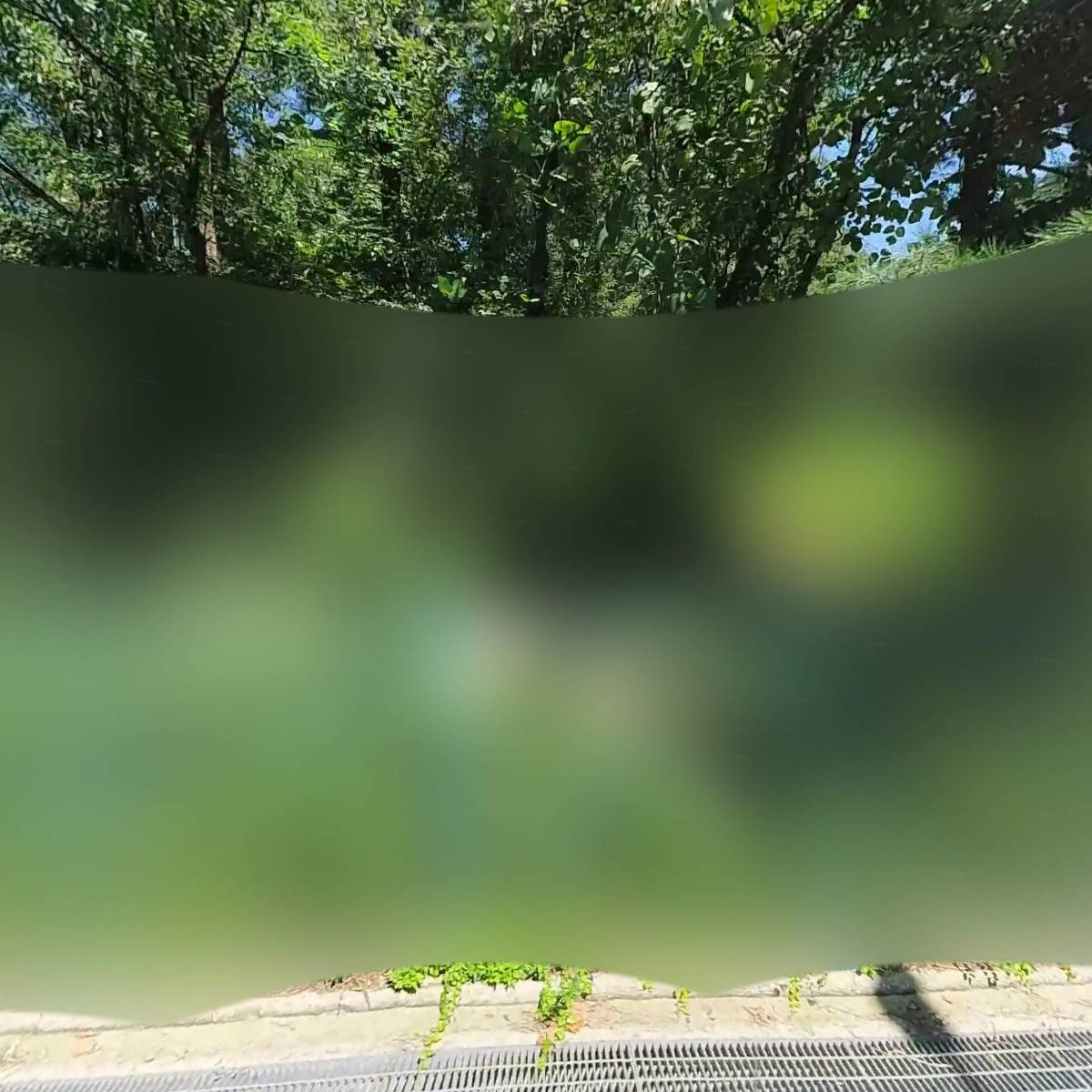 주식회사준홀딩스