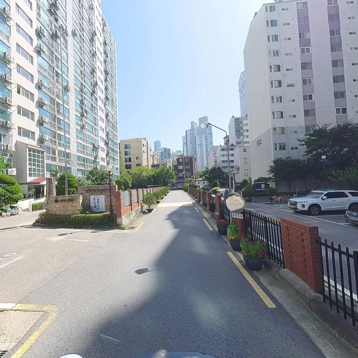 다연자수_2
