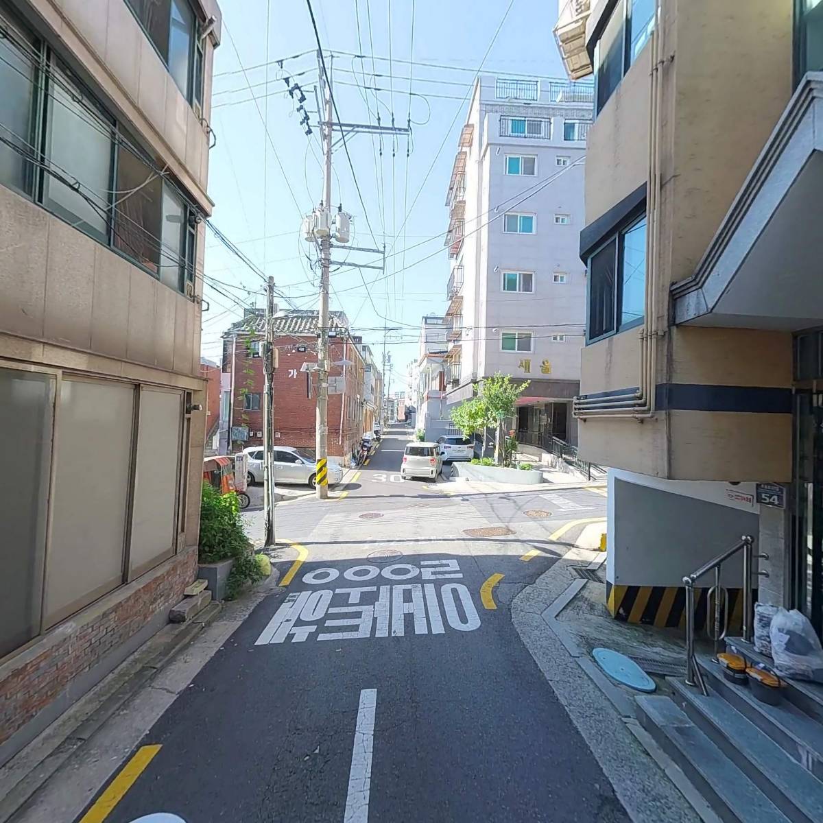 디노스랩(DINOSLAB)_2