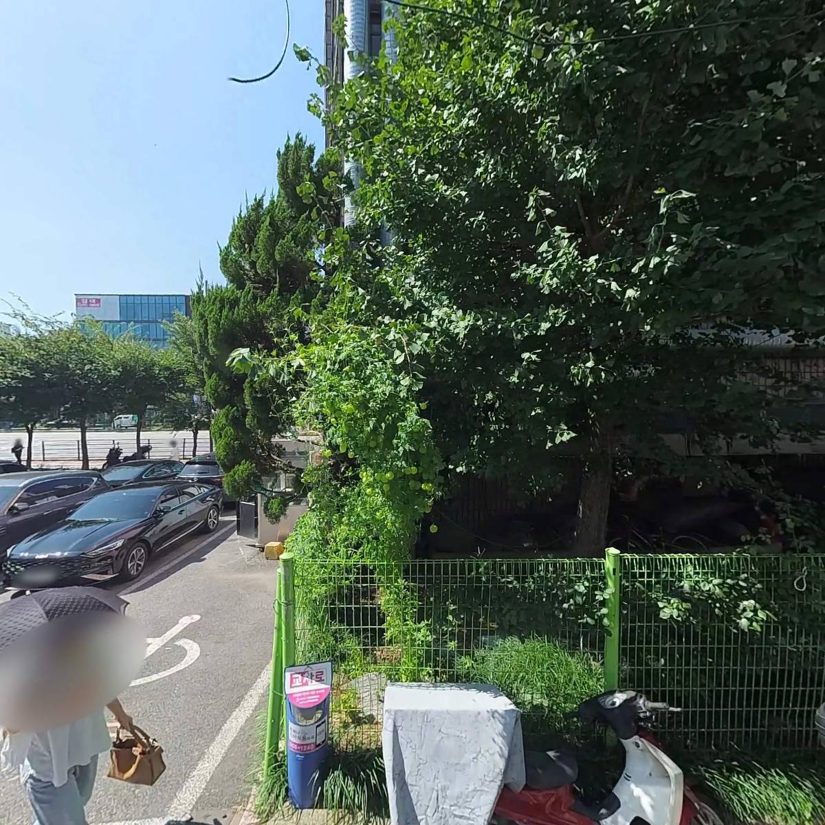 하늘하늘_3