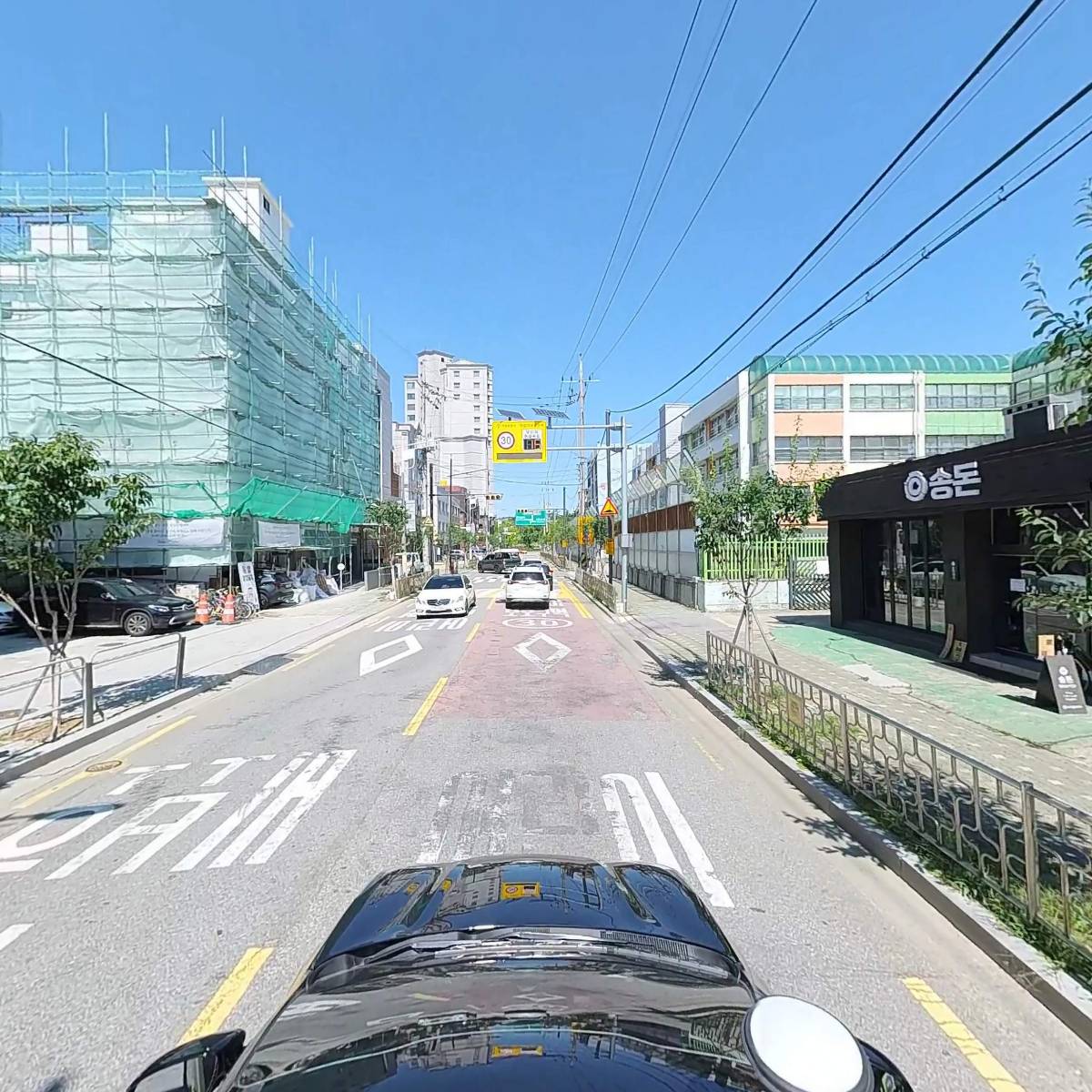 파오디_4