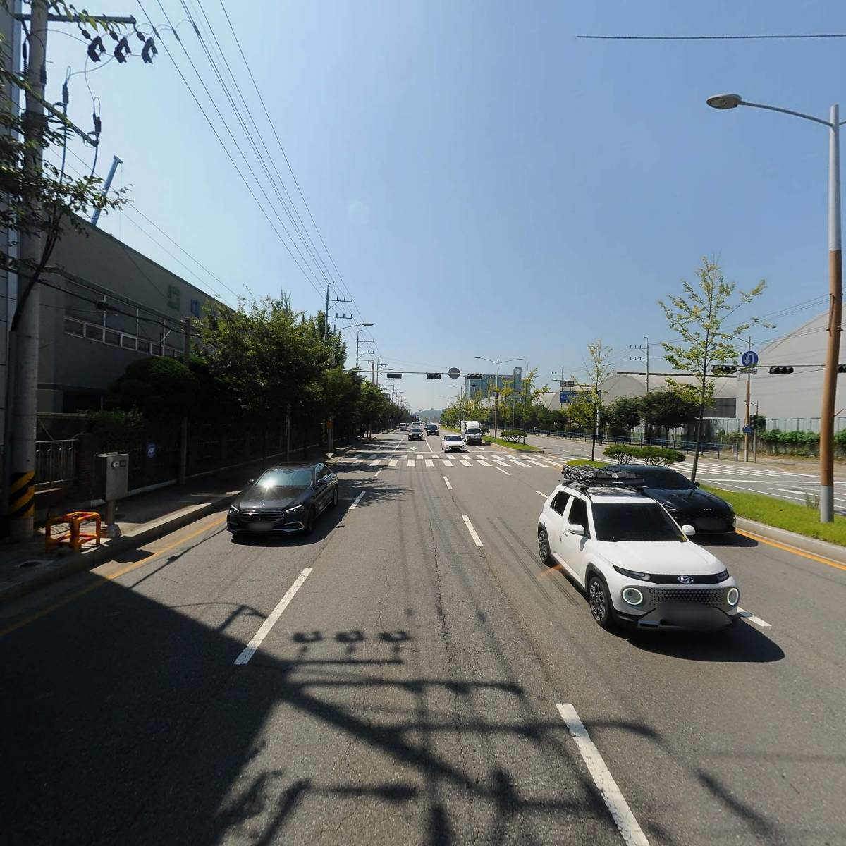 희다이아몬드_2