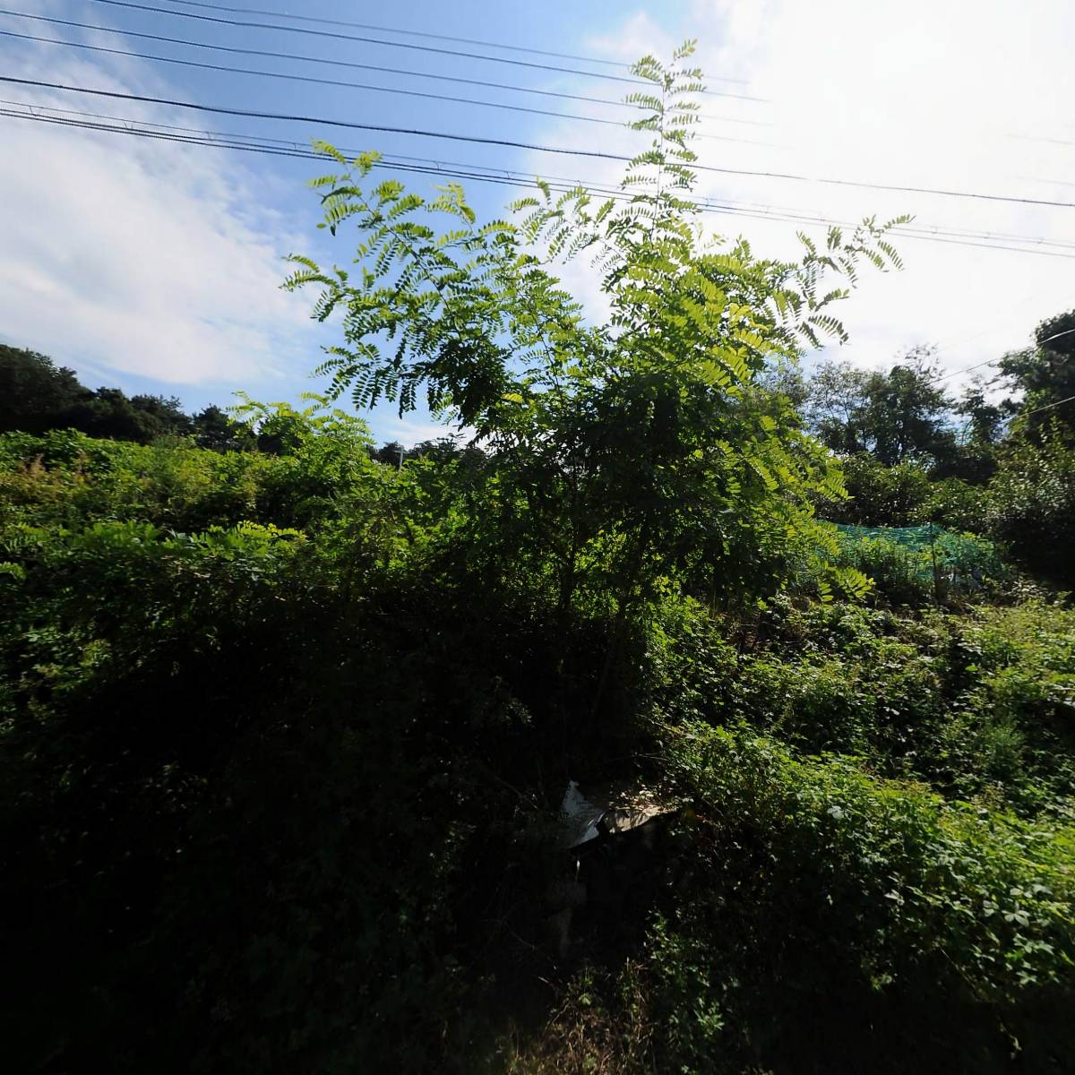 고담벧엘교회_3