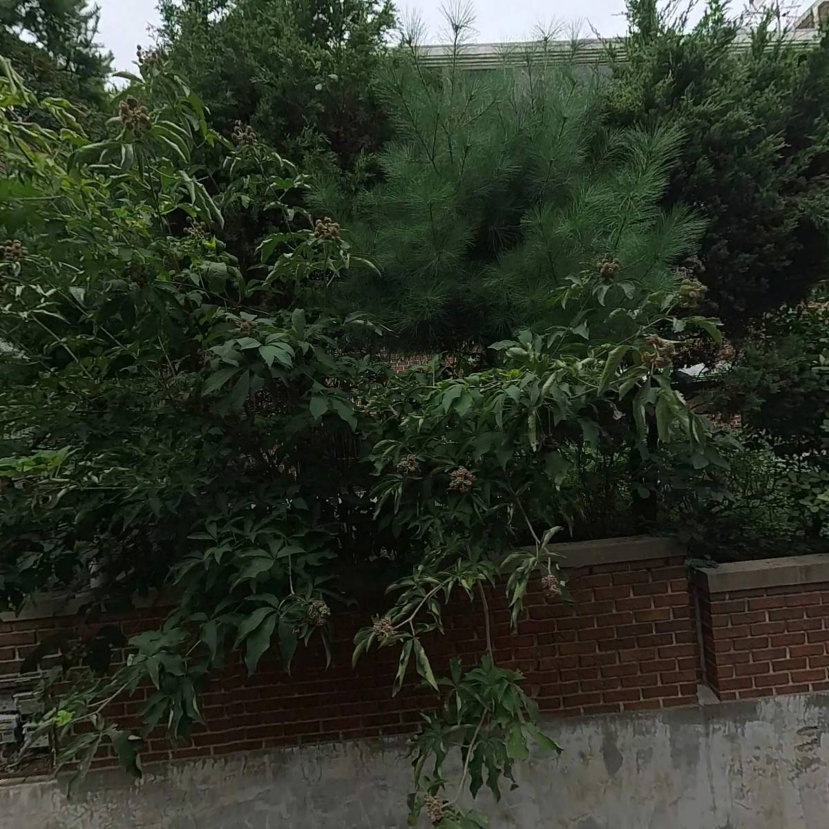 에쓰601,지601(S601,G601)