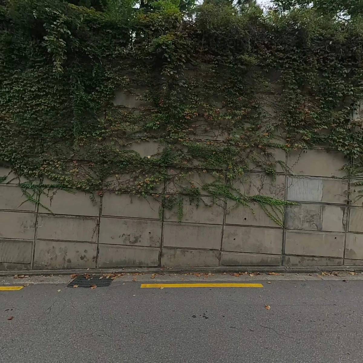 주식회사 써스테라인비젼_3