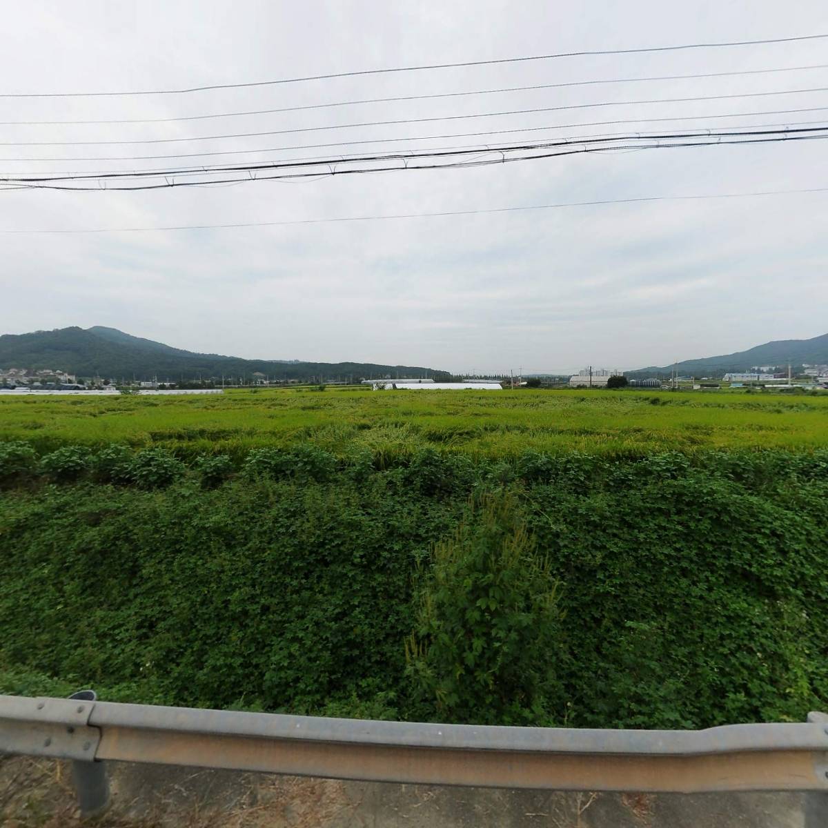 오퍼라인_3