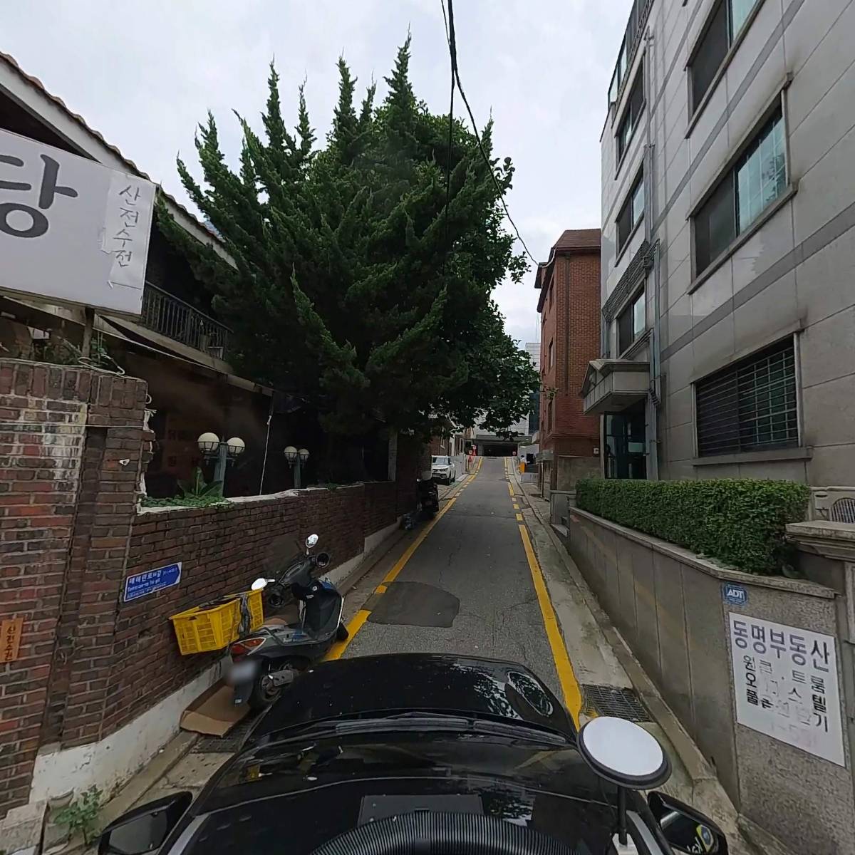 와이앤트루_4