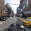 주식회사 요기독강아지랑고양이랑강남본점_4