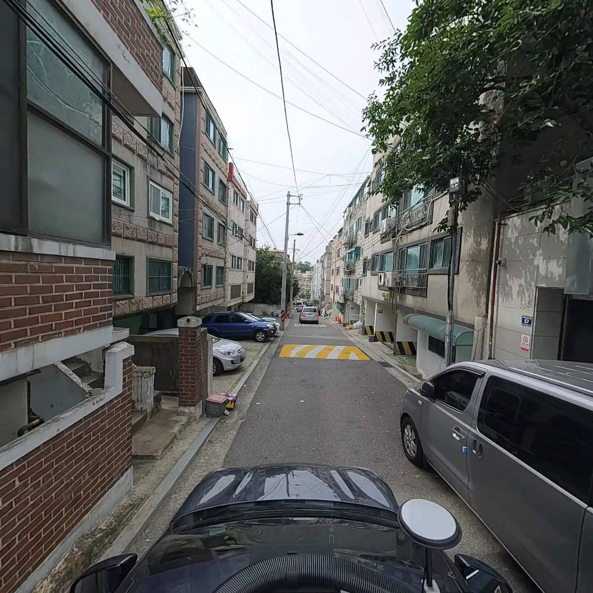 (주)롤링씨드(ROLLIGSEEDSInc.)_4