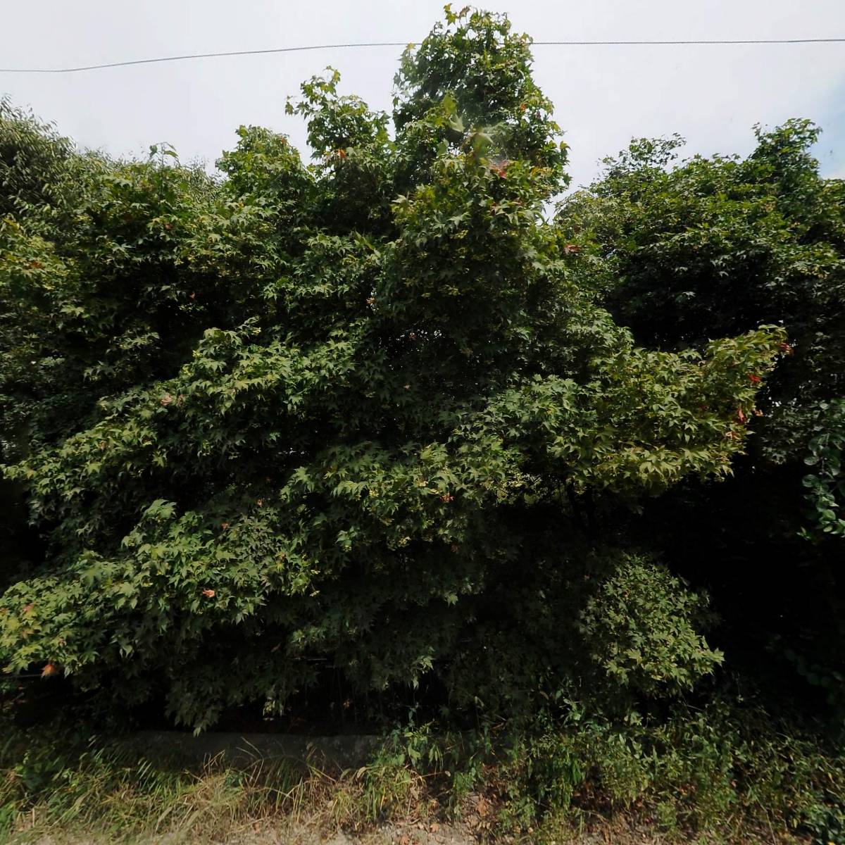 신양산업개발（주）_3