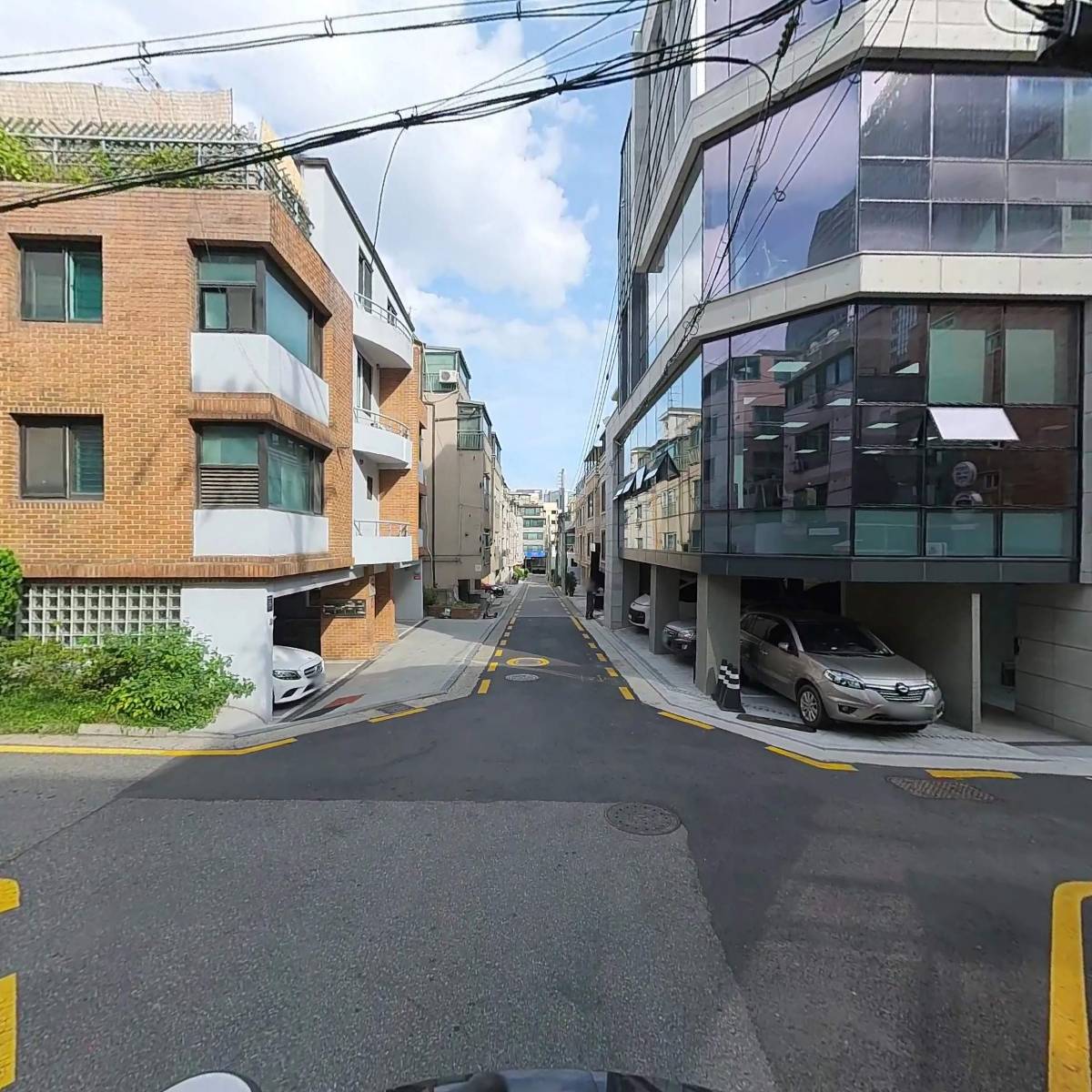 할스_2