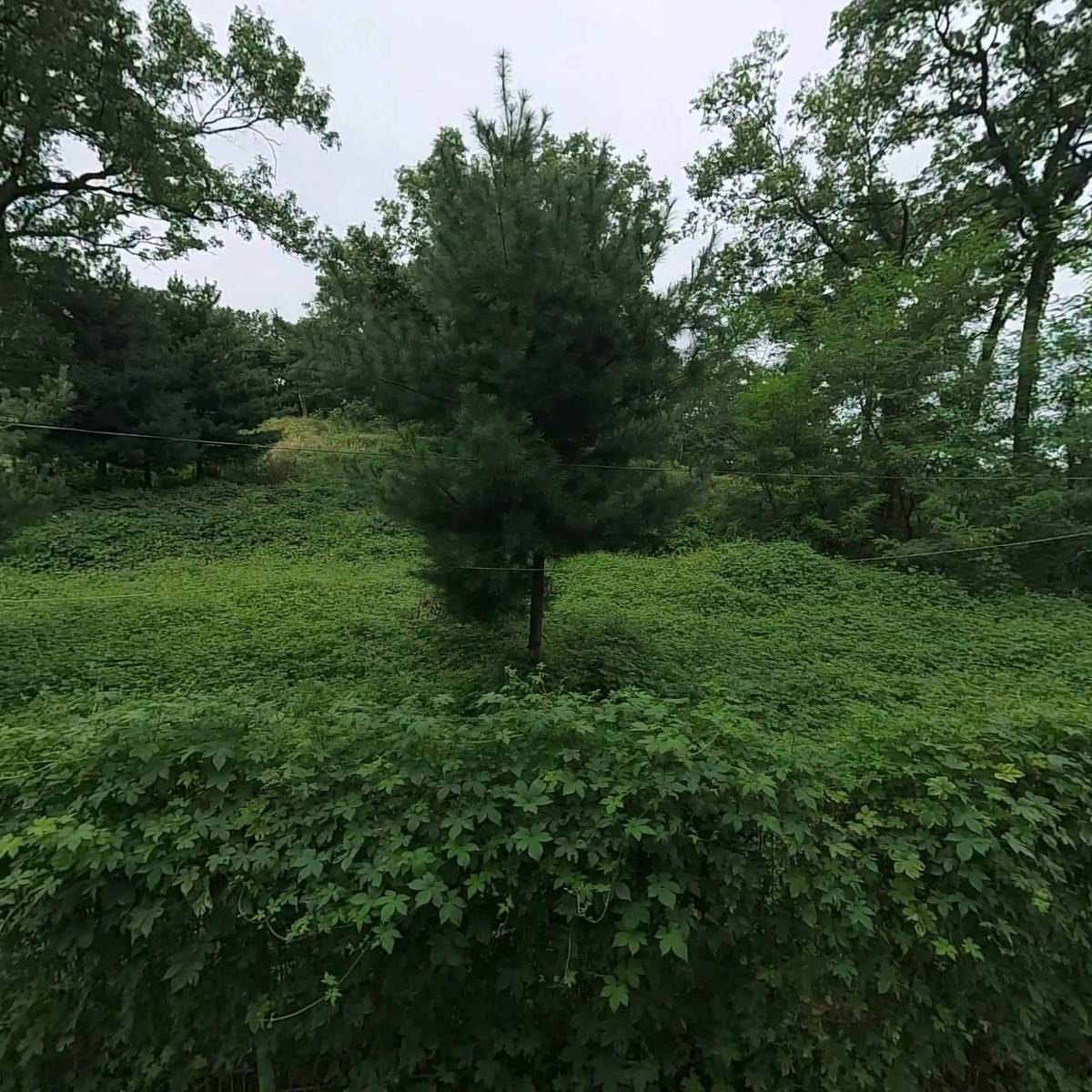 기독교대한감리회벌떼교회