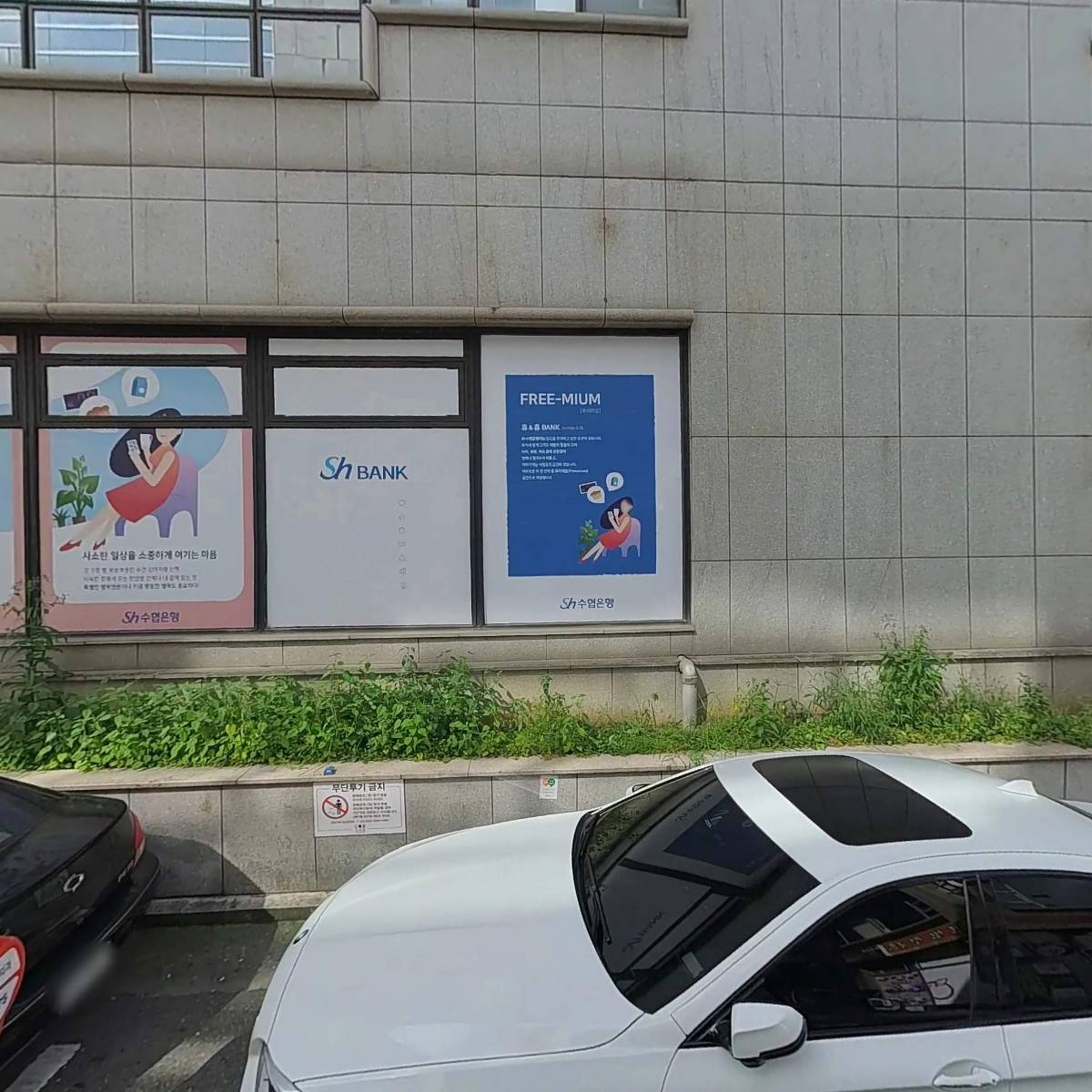 와이앤티 성형외과