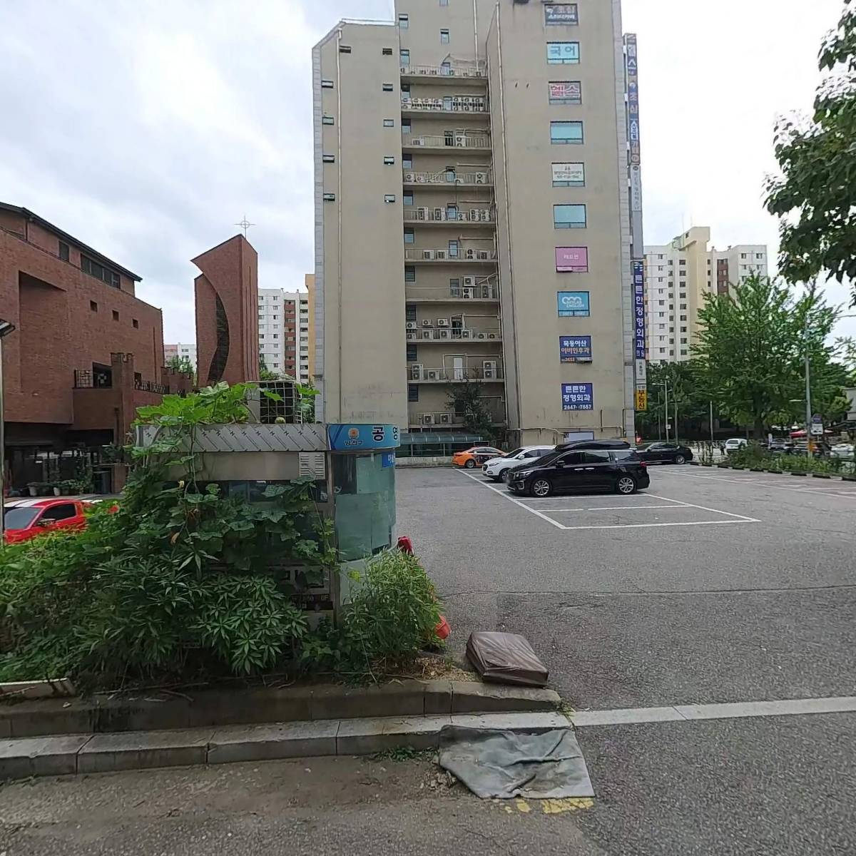 마이요가 목동
