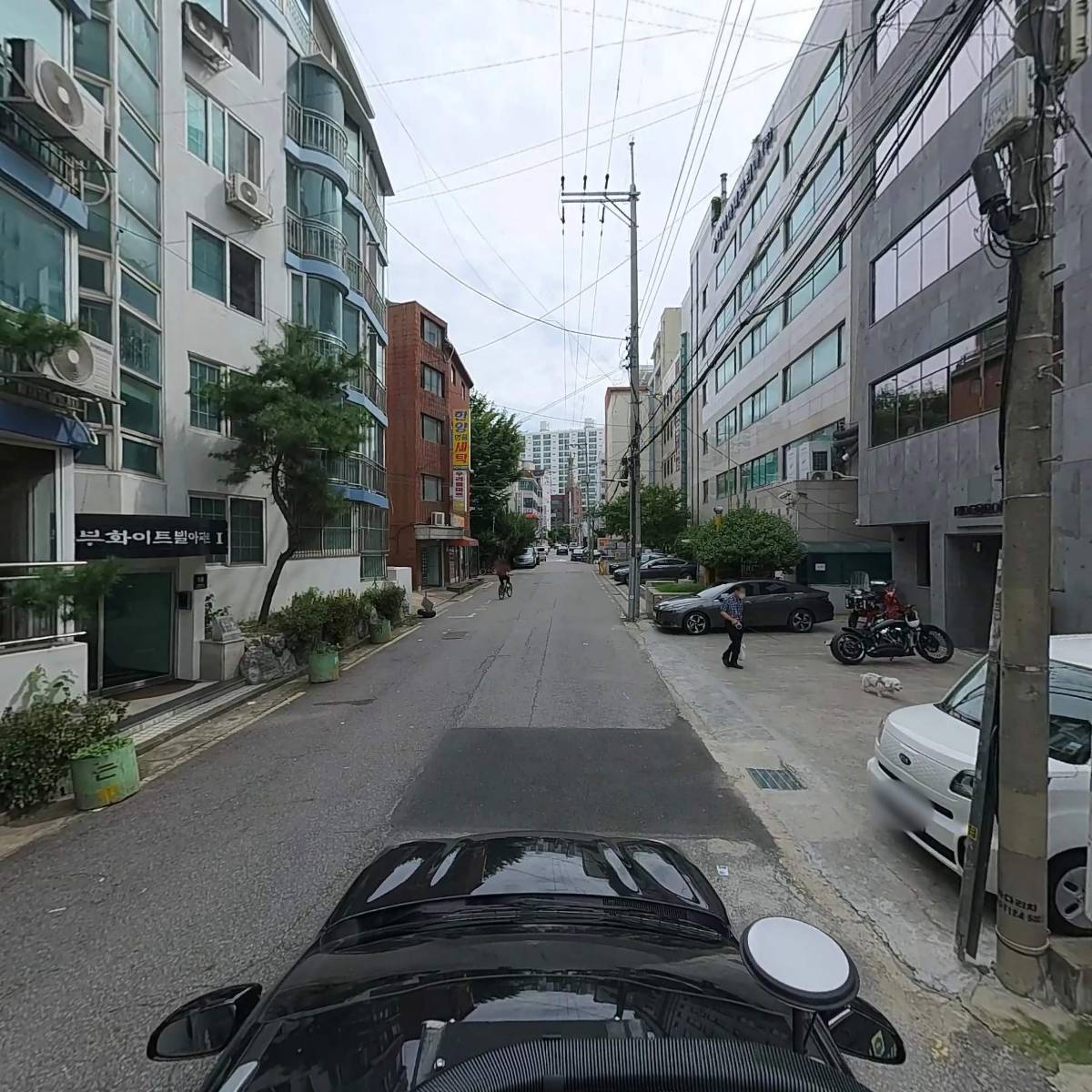 송파스마일동물병원_4